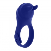 Синее эрекционное виброкольцо с клиторальной подушечкой и пультом ДУ Adjustable Fun Ring - Zero Tolerance - в Энгельсе купить с доставкой