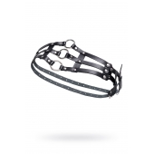 Черный кожаный пояс с кольцами - Pecado - купить с доставкой в Энгельсе