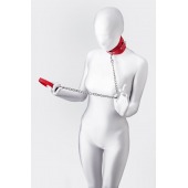 Красный ошейник с подкладкой из меха - ToyFa - купить с доставкой в Энгельсе