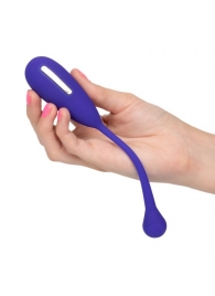 Фиолетовый шарик с электростимуляцией и вибрацией Intimate E-Stimulator Remote Kegel Exerciser - California Exotic Novelties - купить с доставкой в Энгельсе