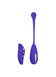 Фиолетовый шарик с электростимуляцией и вибрацией Intimate E-Stimulator Remote Kegel Exerciser - California Exotic Novelties - купить с доставкой в Энгельсе