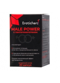 Капсулы для мужчин Erotichard male power с пантогематогеном - 20 капсул (0,370 гр.) - Erotic Hard - купить с доставкой в Энгельсе