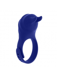 Синее эрекционное виброкольцо с клиторальной подушечкой и пультом ДУ Adjustable Fun Ring - Zero Tolerance - в Энгельсе купить с доставкой