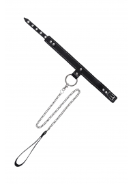 Черный узкий однослойный ошейник с серебристым поводком-цепочкой - Pecado - купить с доставкой в Энгельсе