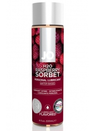 Лубрикант на водной основе с ароматом малины JO Flavored Raspberry Sorbet - 120 мл. - System JO - купить с доставкой в Энгельсе