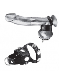 Утяжка для мошонки и пениса Cock Ring With 1  Ball Stretcher And Optional Weight Ring - BlueLine - купить с доставкой в Энгельсе