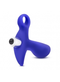 Синий стимулятор простаты с ручкой-кольцом Performance Prostimulator 02 - Blush Novelties - в Энгельсе купить с доставкой