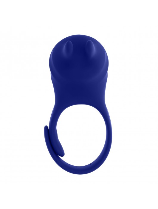 Синее эрекционное виброкольцо с клиторальной подушечкой и пультом ДУ Adjustable Fun Ring - Zero Tolerance - в Энгельсе купить с доставкой