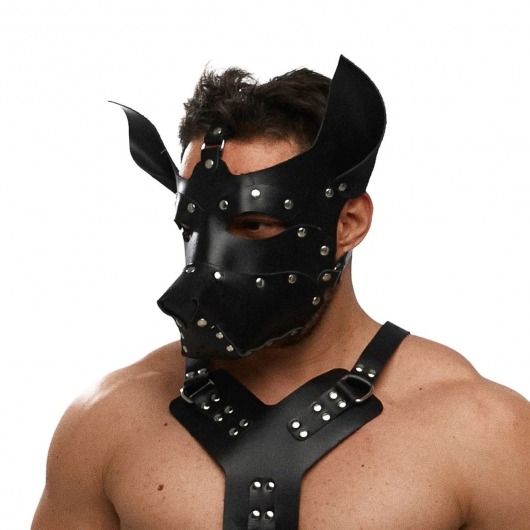 Черная кожаная маска «Собака» - Crazy Handmade - купить с доставкой в Энгельсе