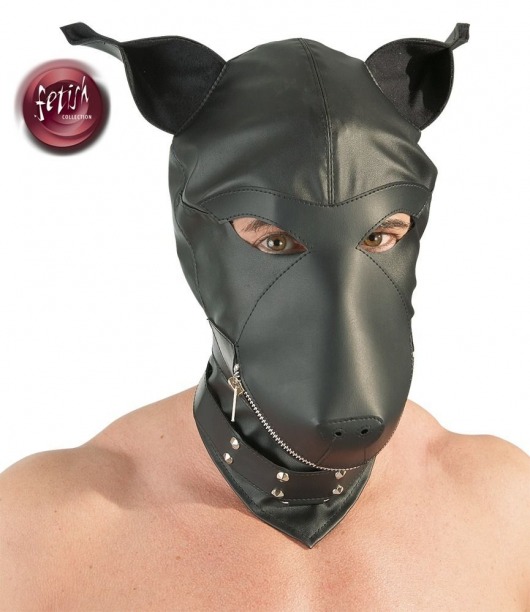 Шлем-маска Dog Mask в виде морды собаки - Orion - купить с доставкой в Энгельсе